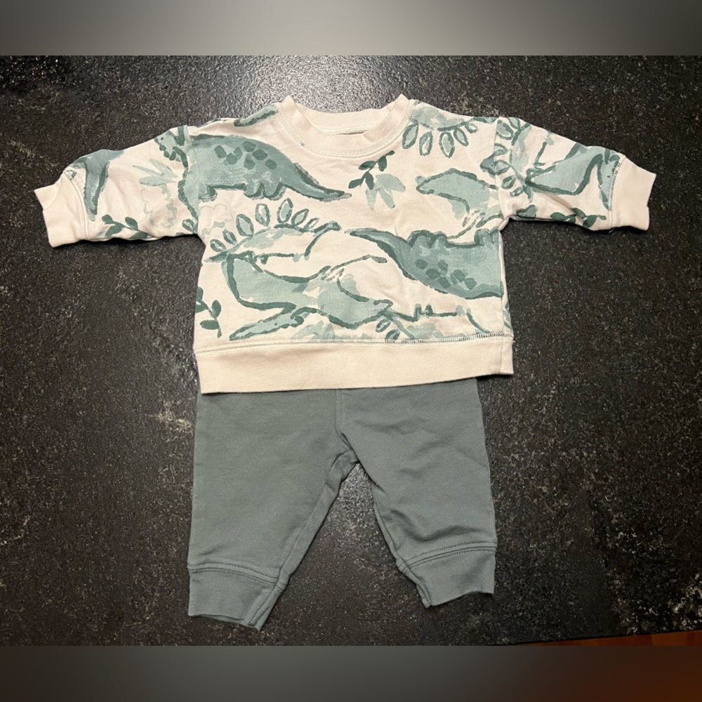 Kids Dinosaur Print Matching Set -green
